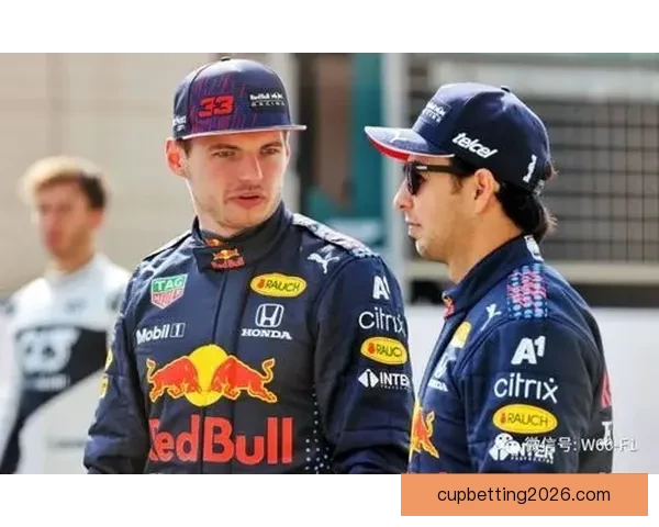 世界杯竞猜赔率分析与推荐 策略解析助你赢得更多精彩预测机会