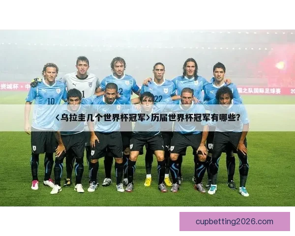 世界杯赛事全解析与精准体育竞猜预测指南揭秘